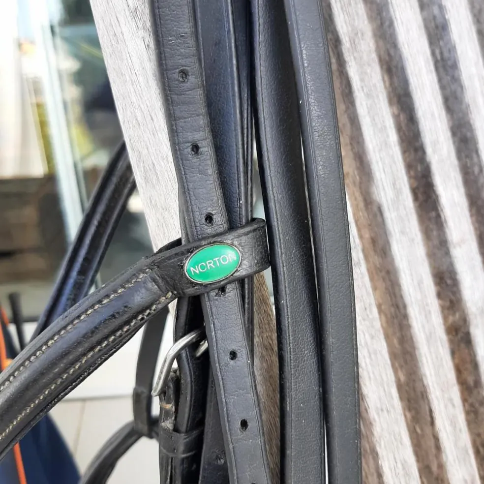 Selle de dressage et bride en cuir noir