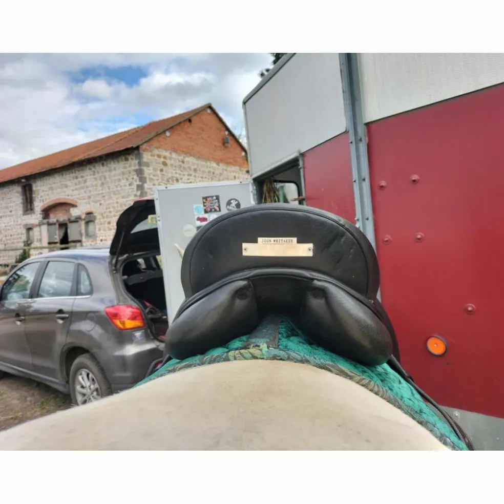 Selle dressage