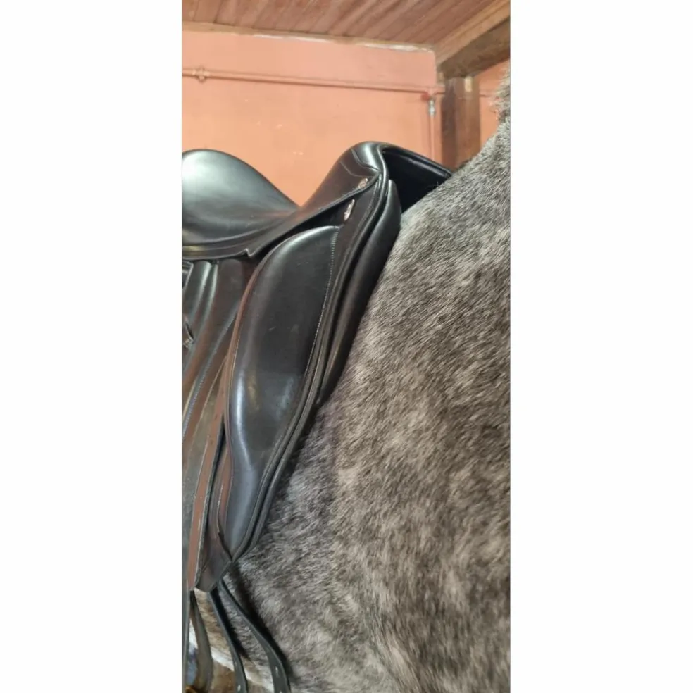 Selle dressage Équipe Wiktoria