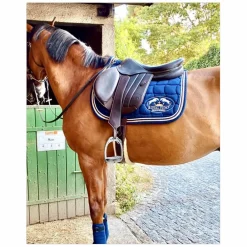 SELLE FORESTIER SÉOUL 2024