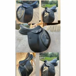SELLE GBS