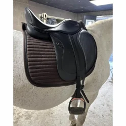 Selle Ikonic