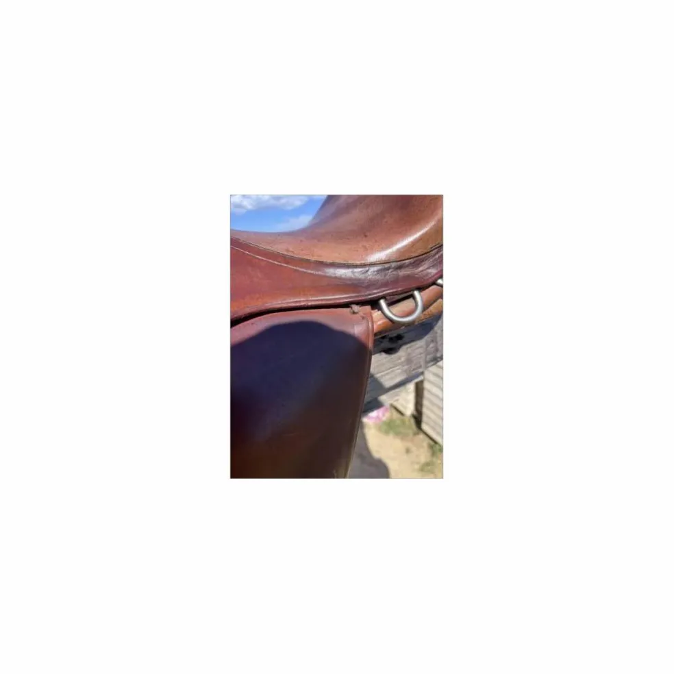 Selle mixte 17.5p