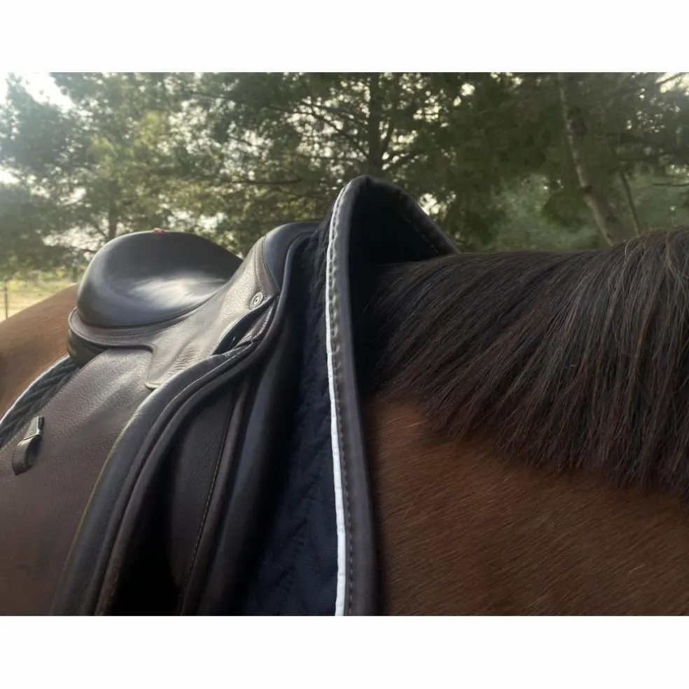 Selle Équipe
