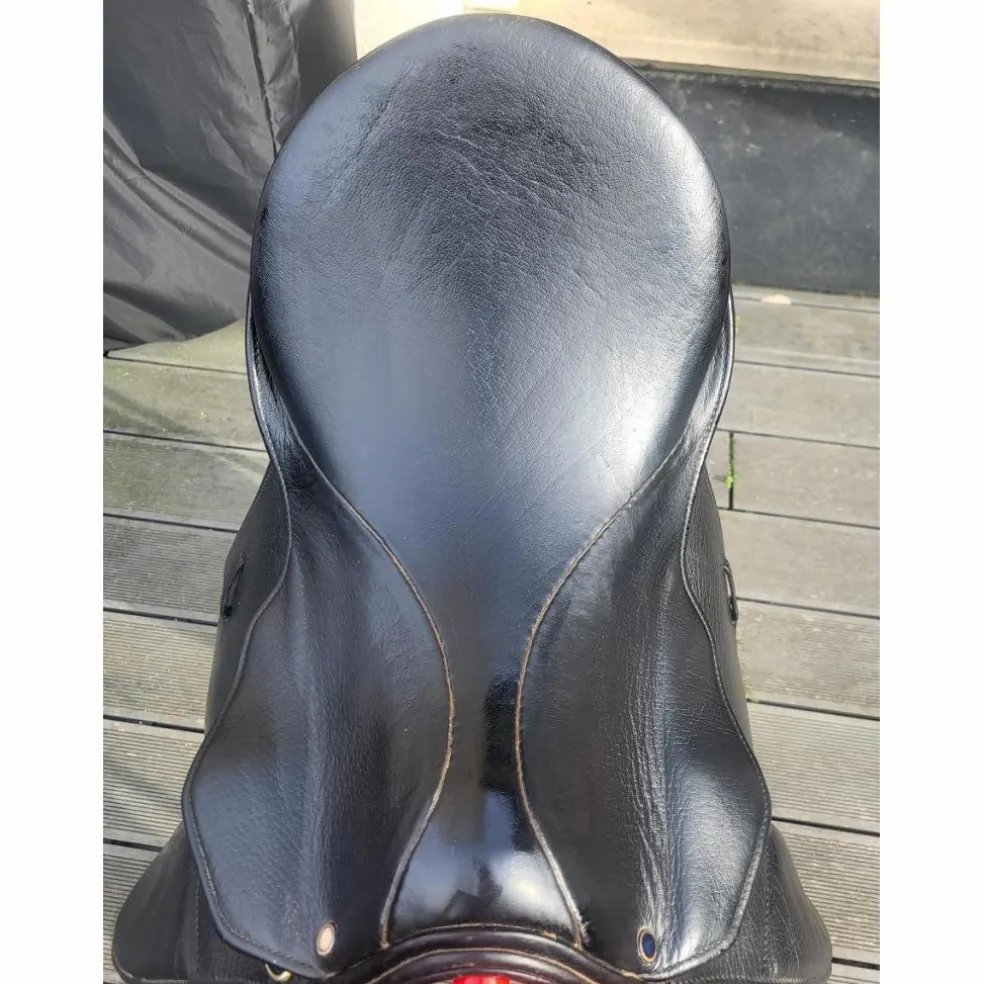 Selle stubben dressage