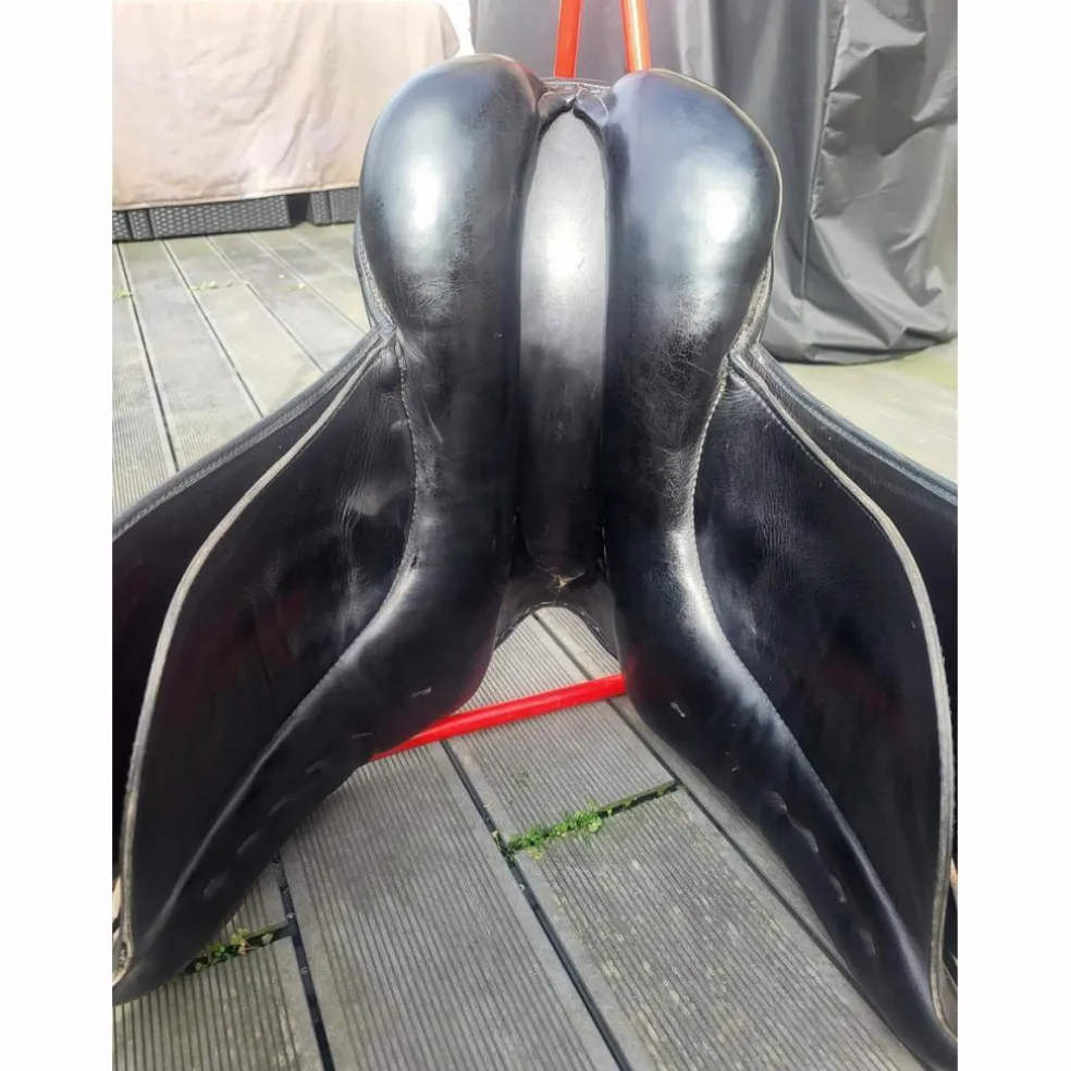 Selle stubben dressage