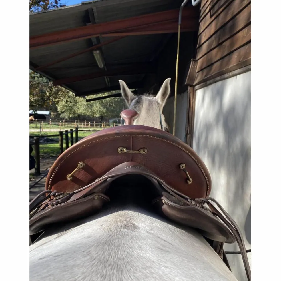 selle TH taille 17,5 numérotée