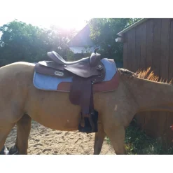 Selle western