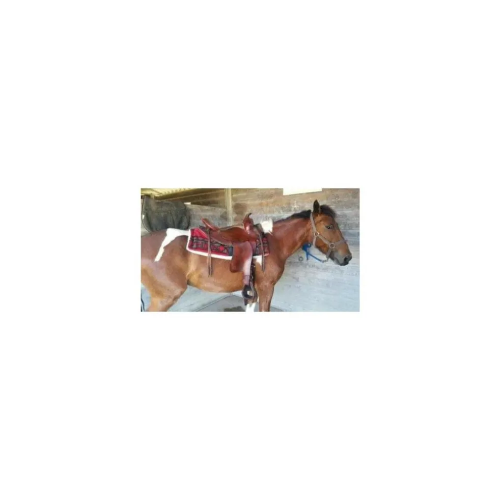 selle western Montana saddlery