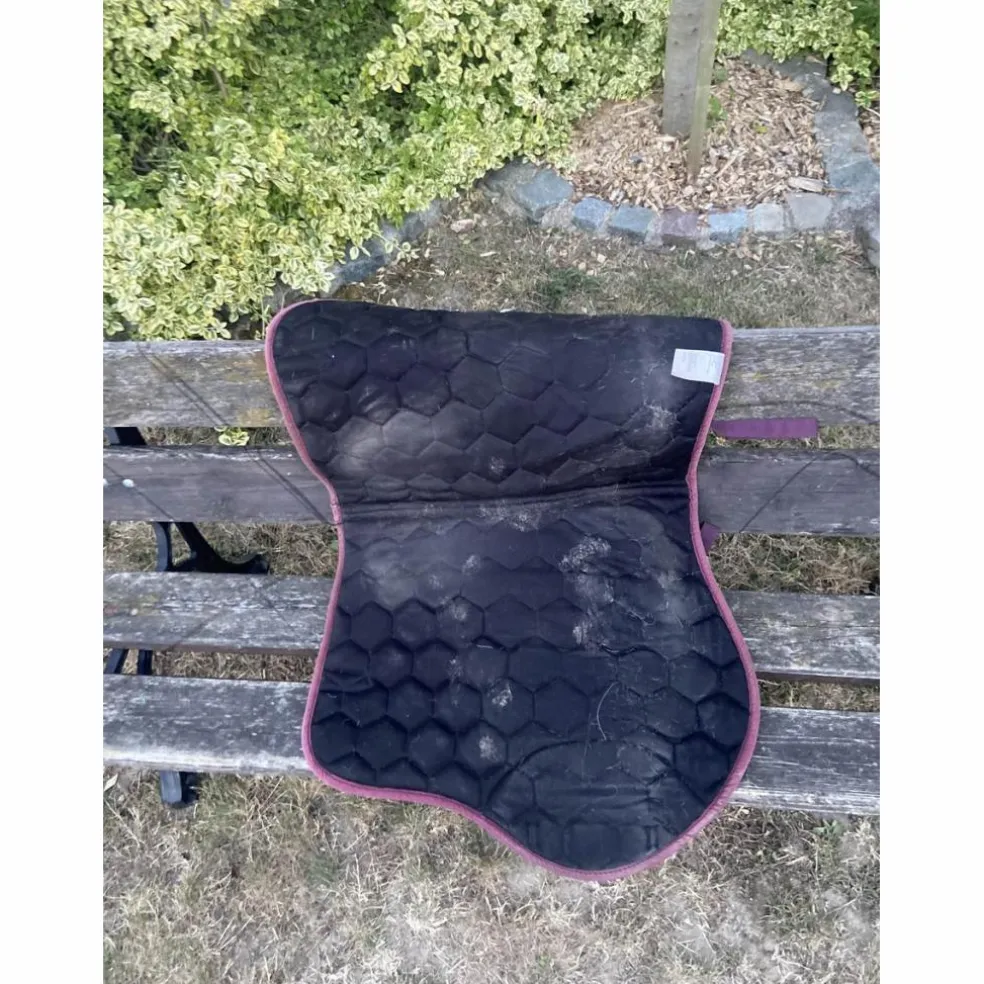 tapis