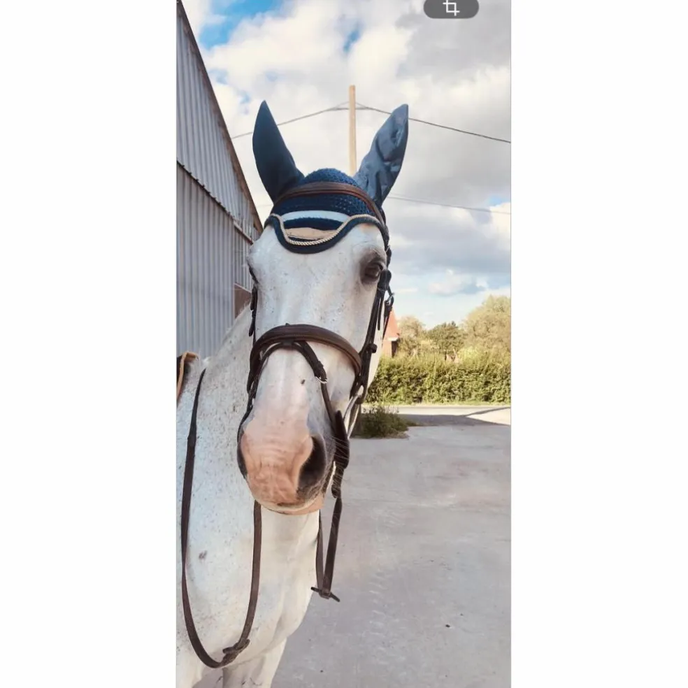 tapis + bonnet DESTRIER