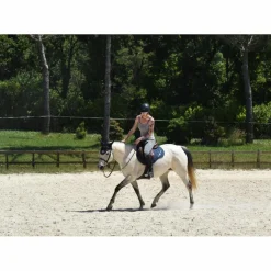 Tapis Delgrange